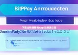 下載比特派錢包app|比特派公告