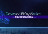 下載比特派錢(qián)包|比特派隱私